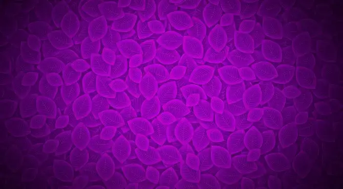 Jester Temptation 100